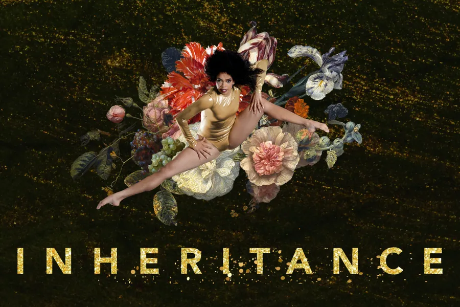 INHERITANCE