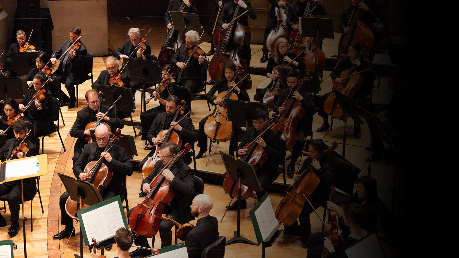 Mahler’s Symphony No. 1