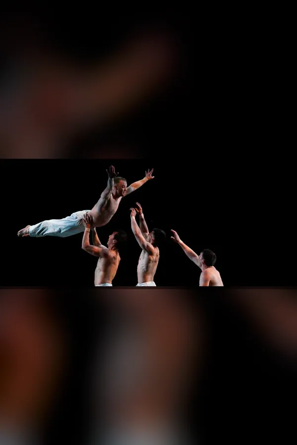 Pilobolus