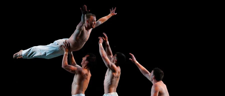Pilobolus