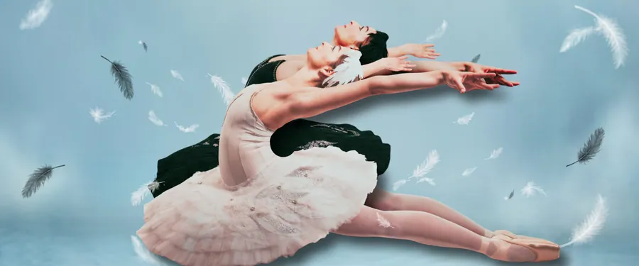 Swan Lake